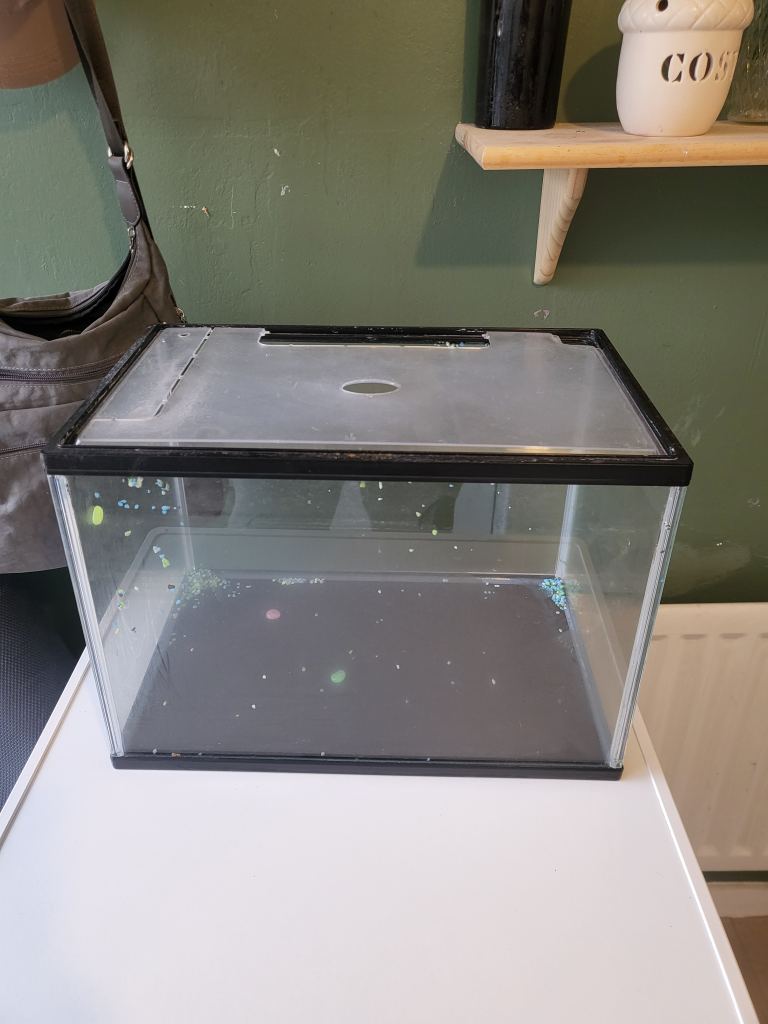 Free fish tank 