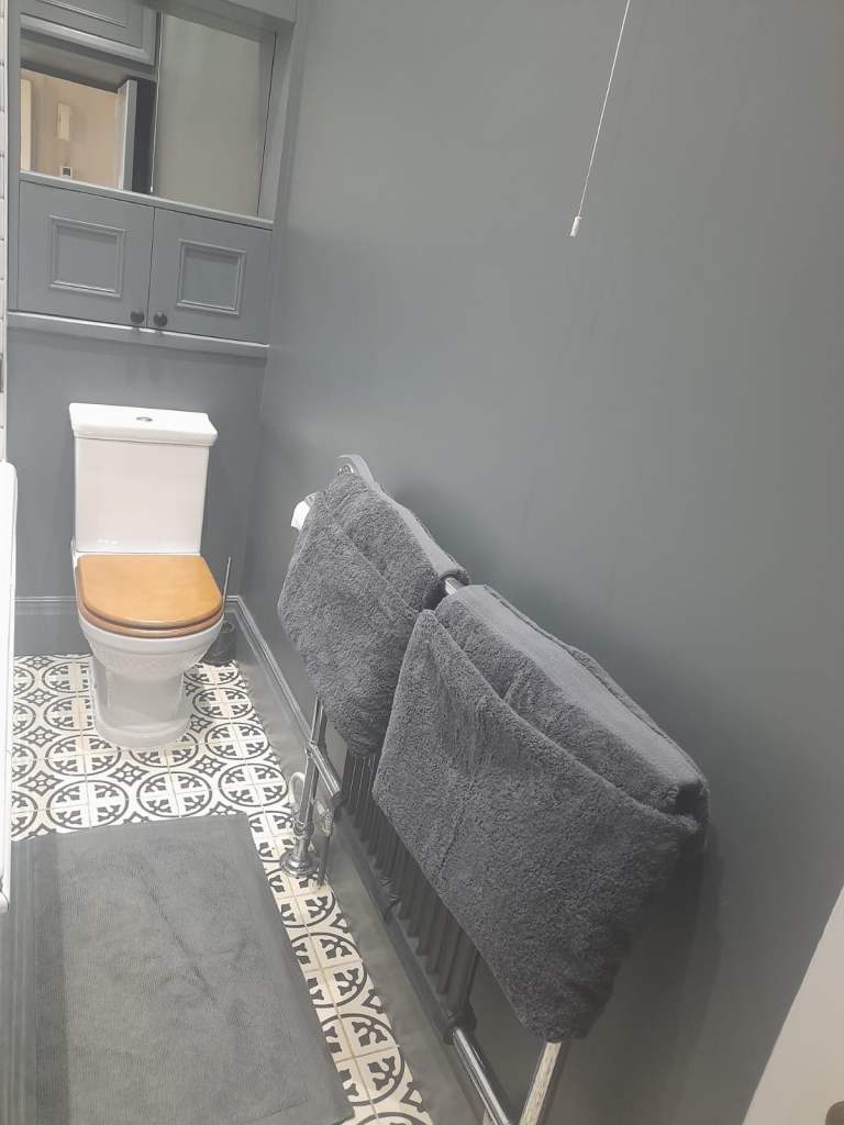 Cleaning and ironing Services 