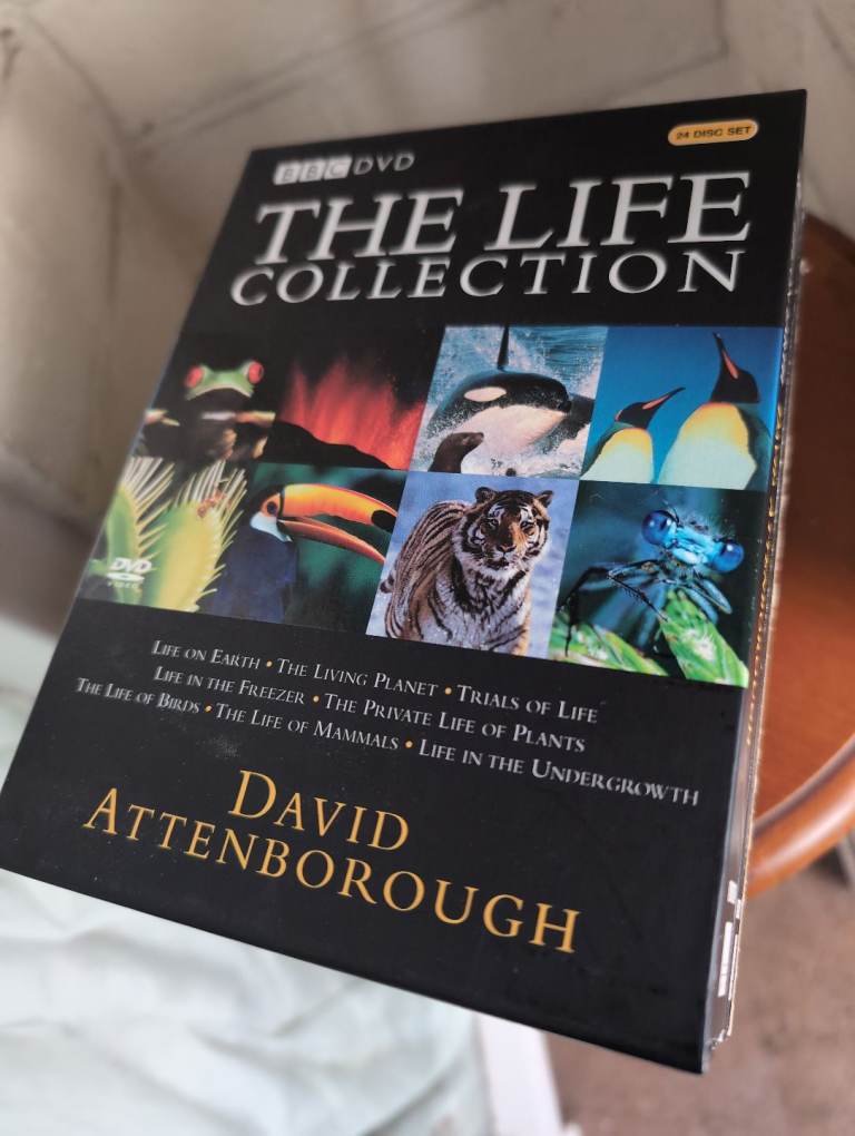 image for 24 dvd set