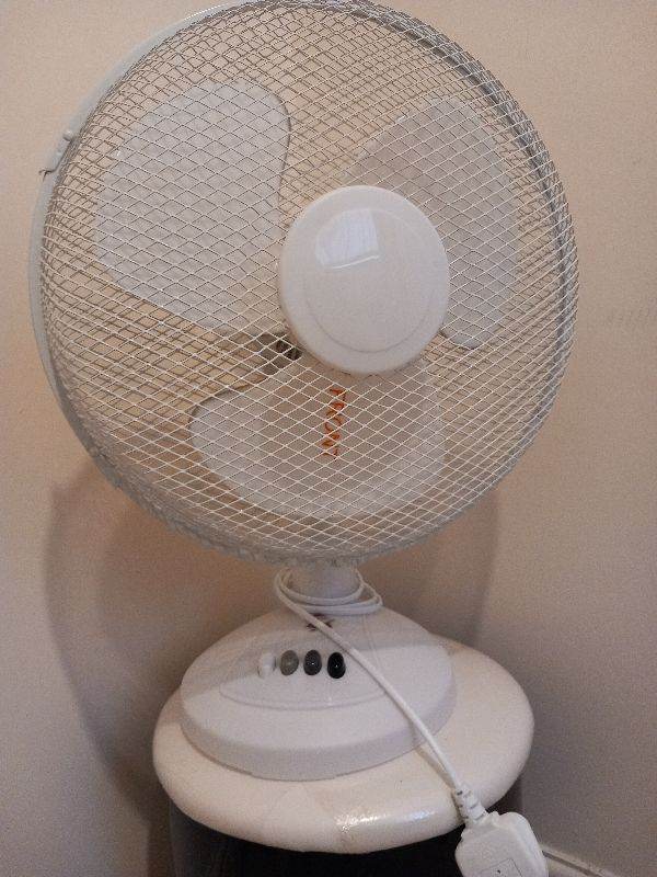 Large Oscillating desk fan for £12.