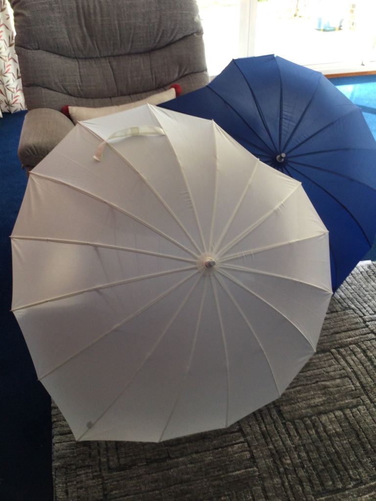 Heart Shaped Umbrellas/Parasols