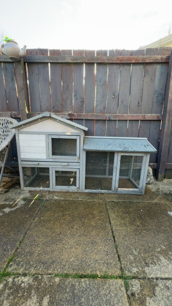 Rabbit/chicken hutch 