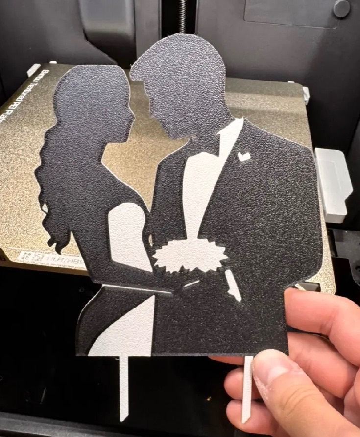 Lovely New Wedding Cake Topper - Black and White Silhouette