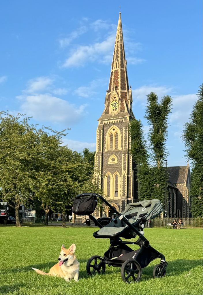 Bugaboo Fox Cub Complete Full Size All Terrain Pushchair Black/Forest Green