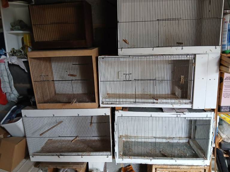 Bird breeding cages 