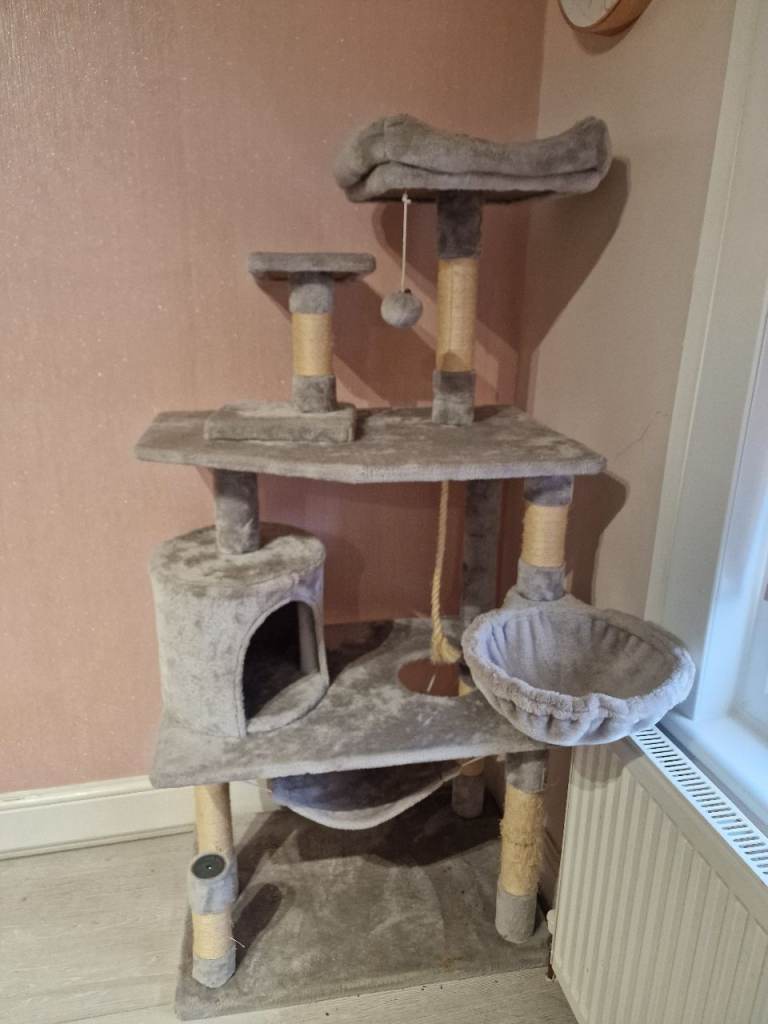 Cat Tree, Kitten House