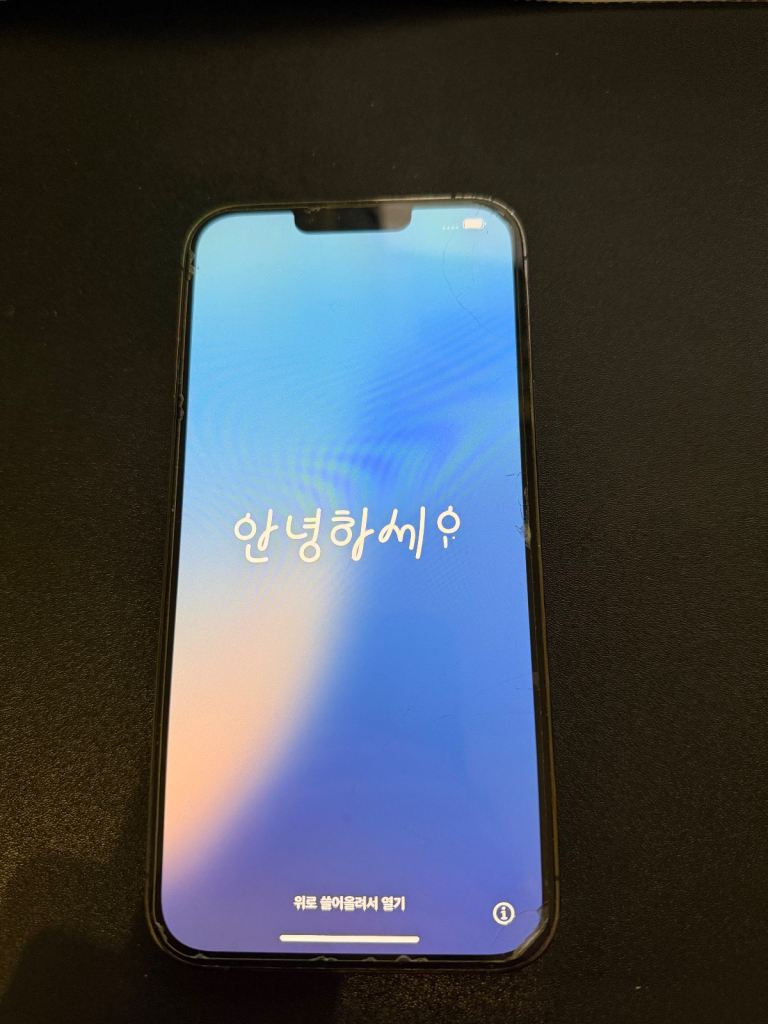 iPhone 13 Pro Max 512GB graphite 