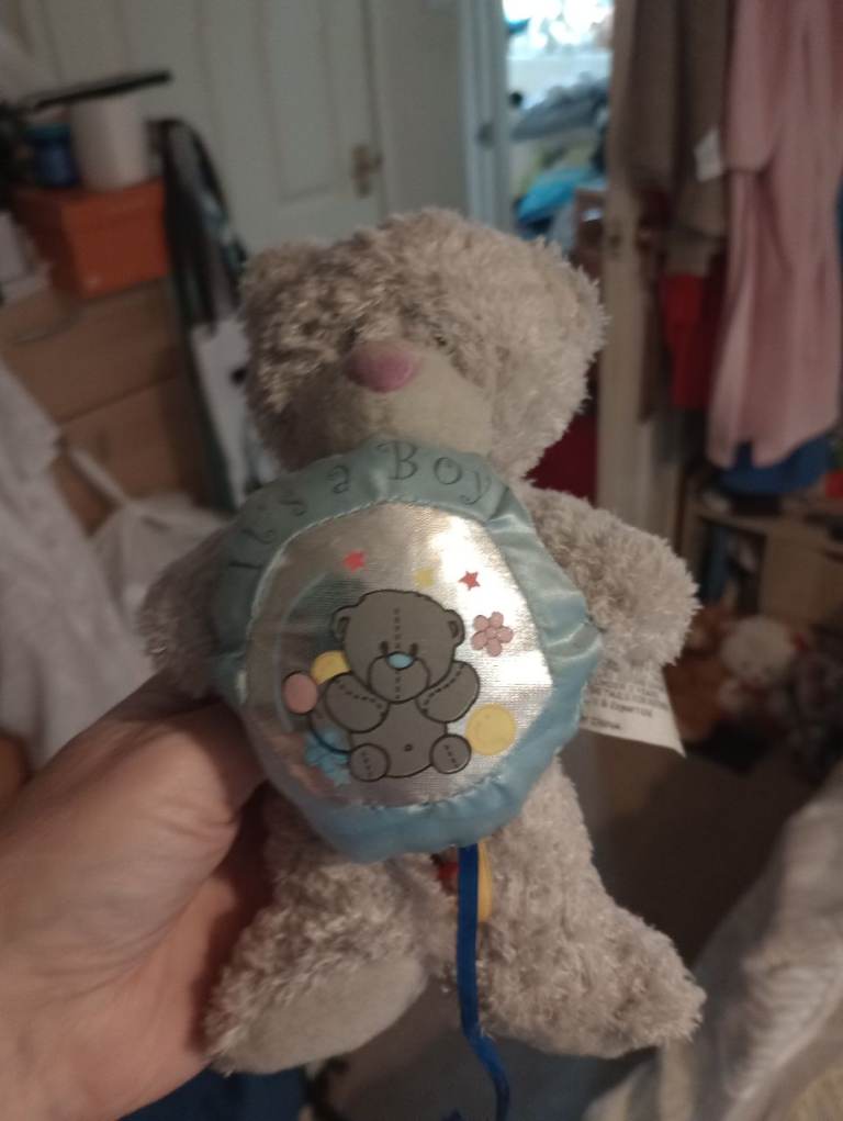 WANTED. A me to U bear