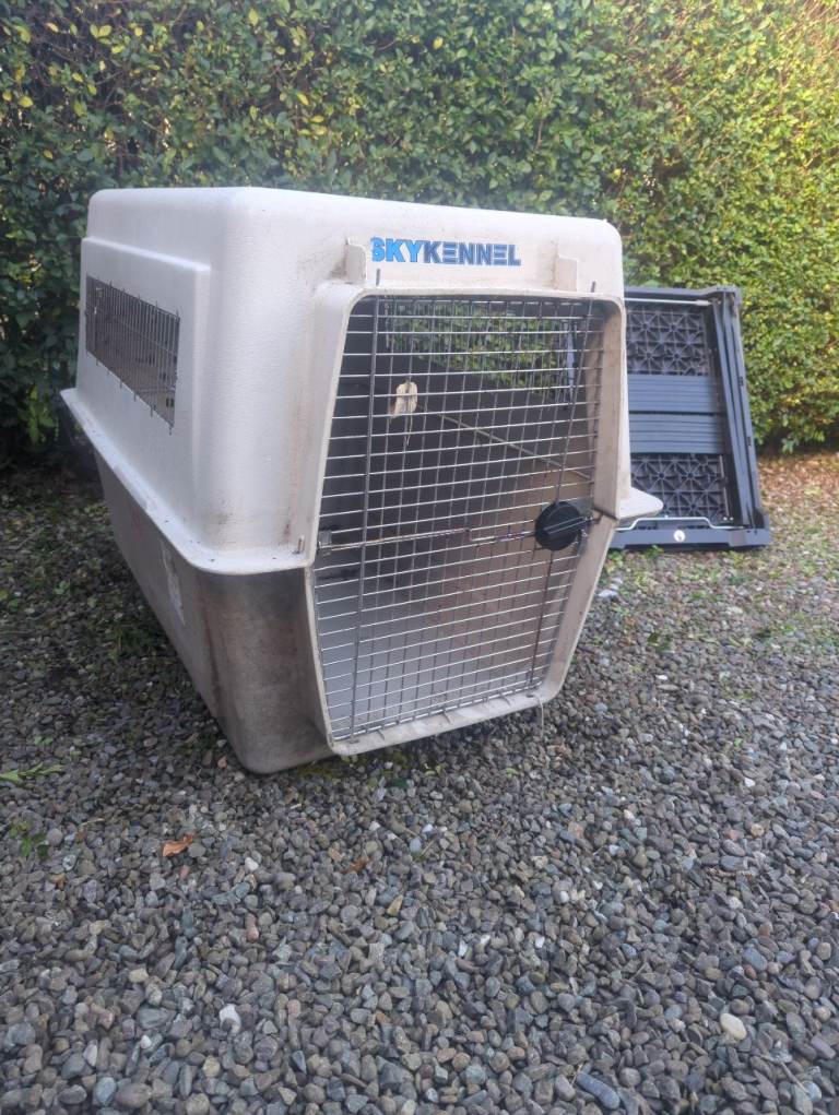 Large crate suitable for transporting or crating dog