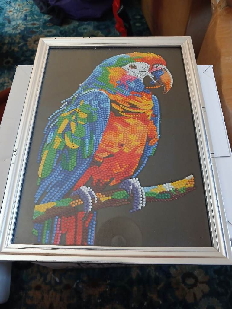 Framed Diamond Painting - Colourful Parrot Design