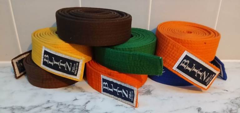 7 Kick Boxing Belts 