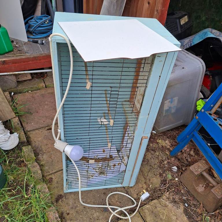 Canary breeding cage