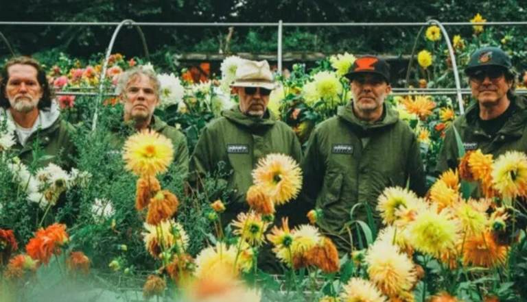 Super Furry Bristol sounds