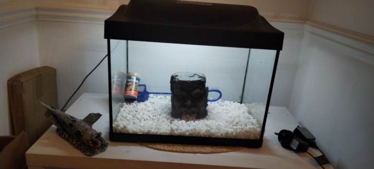 Fish tank 
