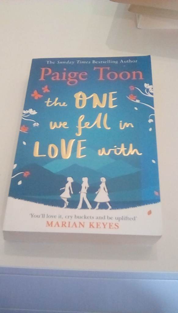 The One We Fell in Love With by Paige Toon