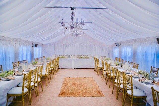 Limewash Chaivari Chair Hire 