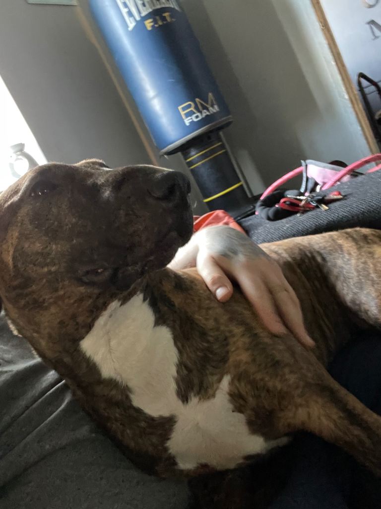 Looking for my forever home