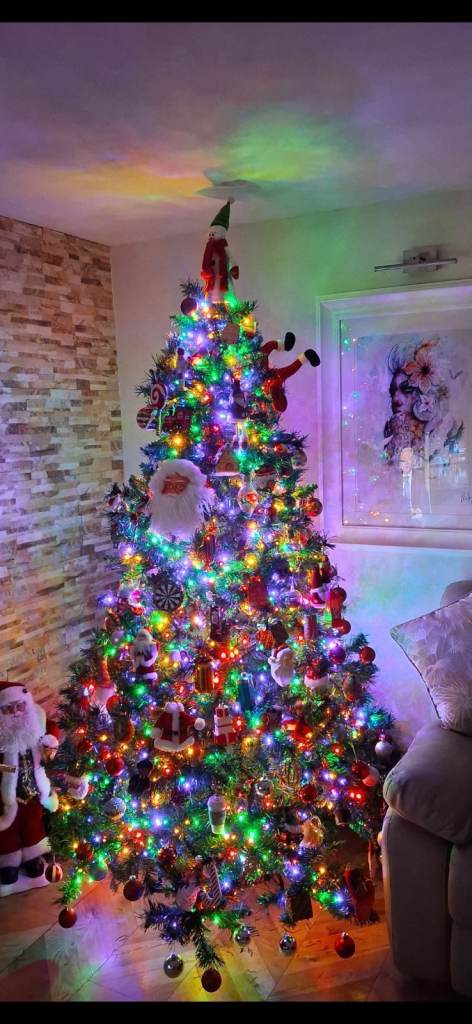 Xmas tree and lights