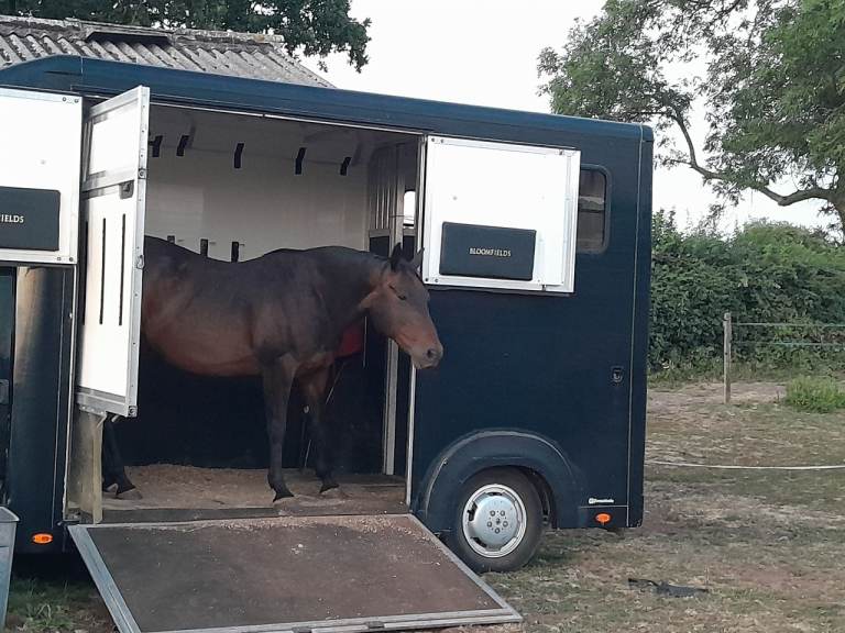 Horse lorry 3.5ton