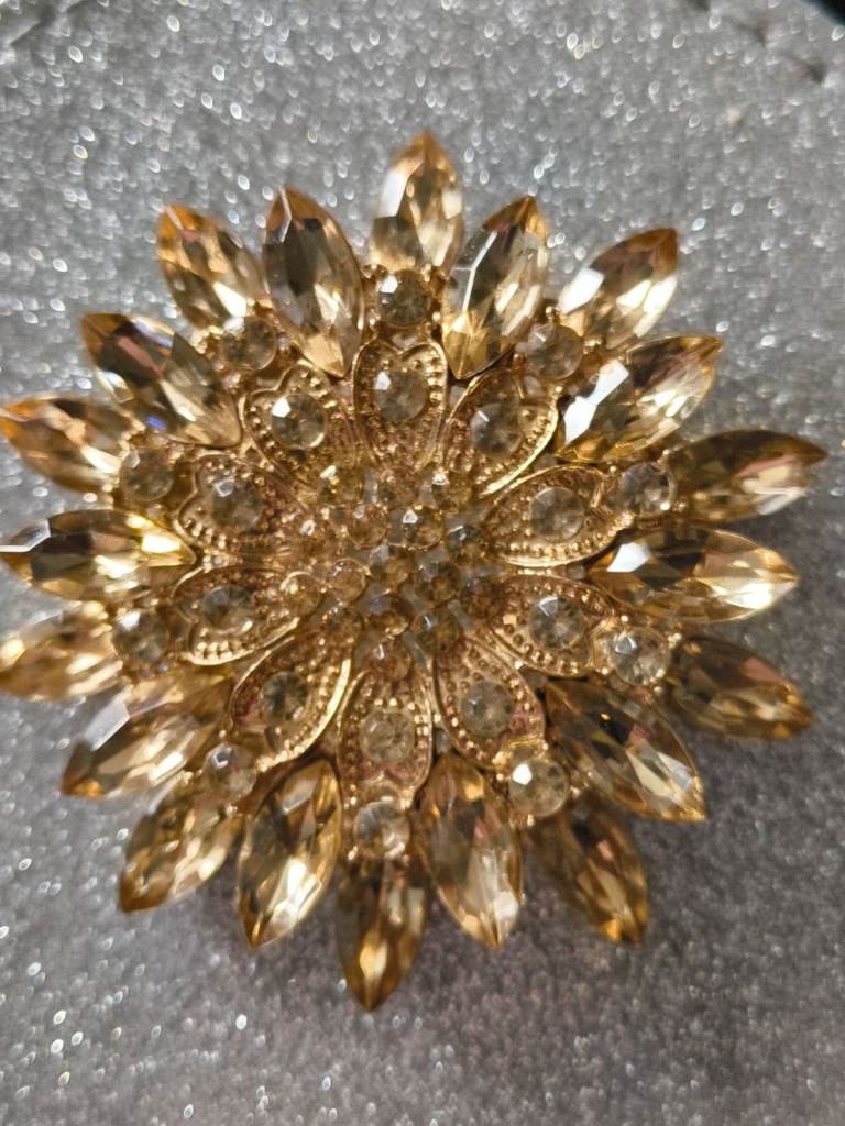Brand new brooch 