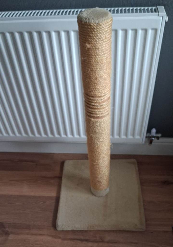 Cat scratch post