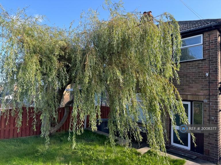 3 bedroom house in Birch Lane, Bradford, BD5 (3 bed) (#3008377)