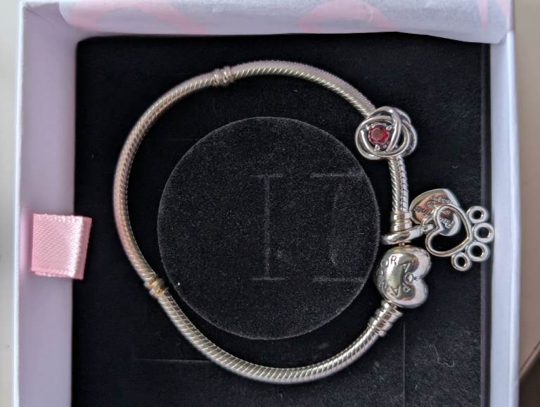 Brand New Pandora Bracelet & 2 Charms 