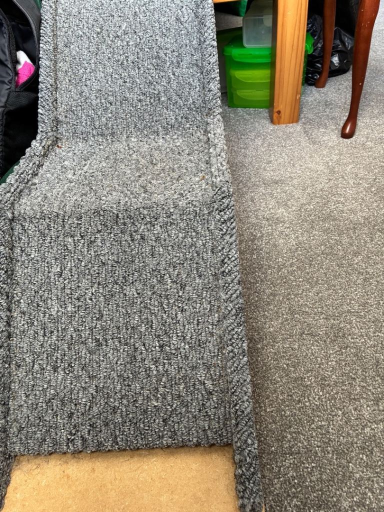 Dog ramp 
