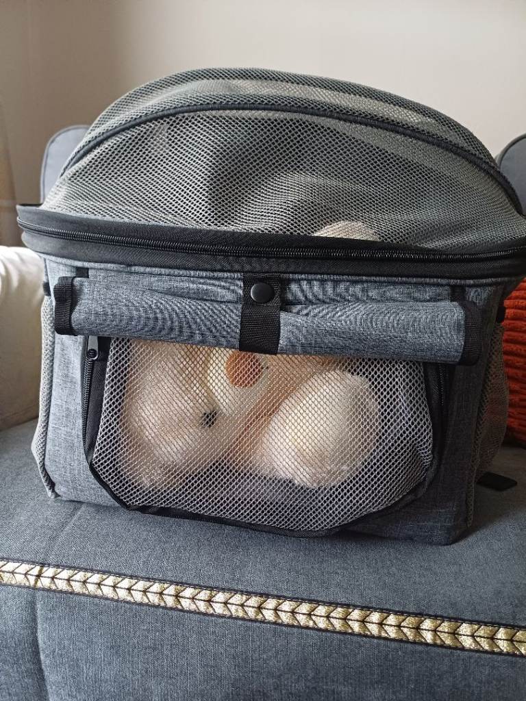 Pet backpack carrier/ bike pet carrier