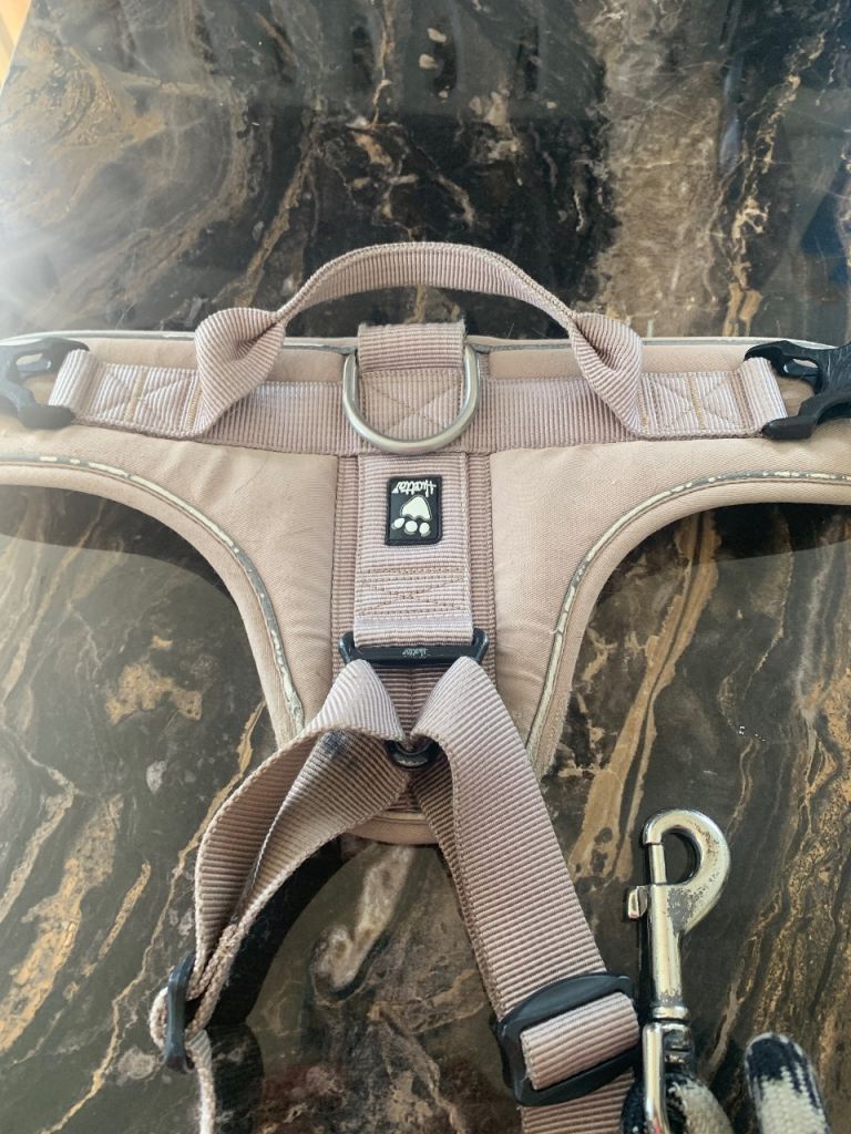 Hutta dog harness and lead