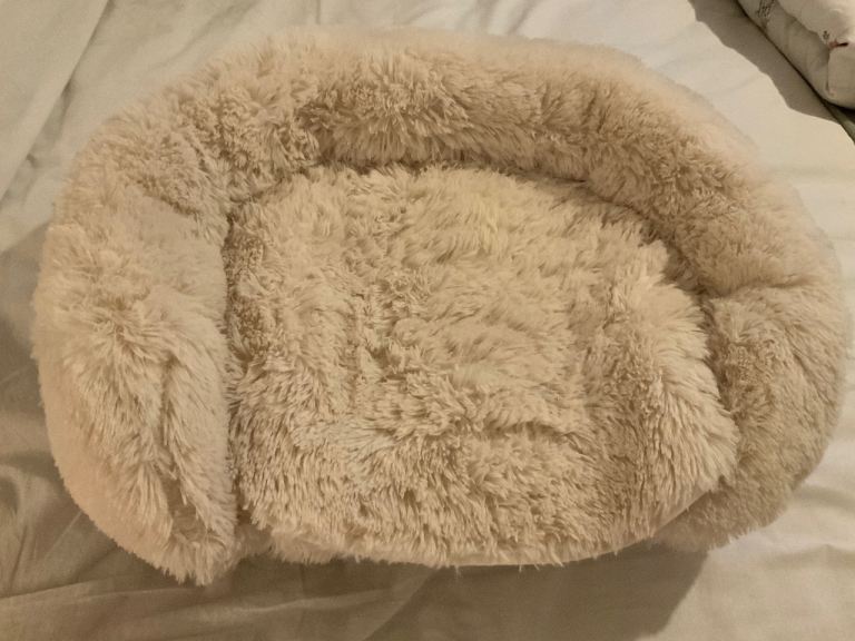 Cat bed