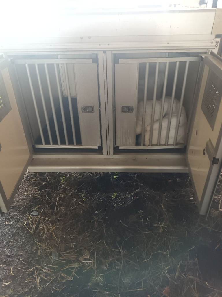 Dog trailer