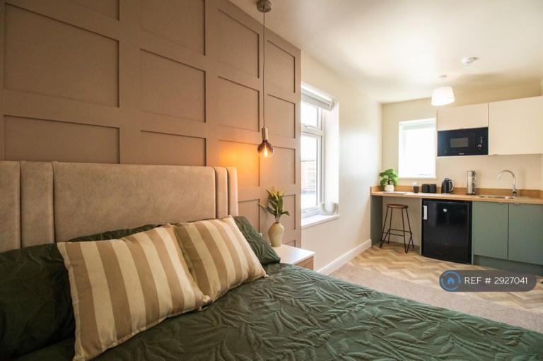 Studio flat in Vernon Road, Leicester, LE2 (#2927041)