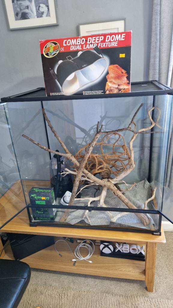 Gigan terra Vivarium and set up.