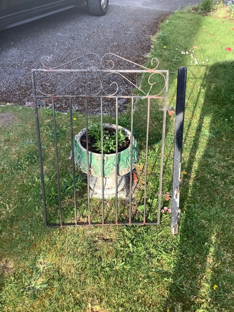 Iron garden gate