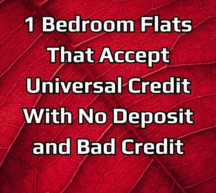 Looking to rent 