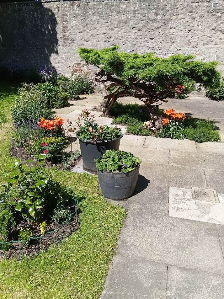  Low crime friendly historic city 1bd, gff 