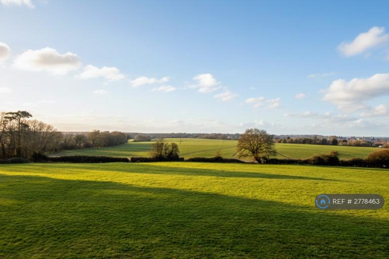 3 bedroom house in Arundel Wing, Tortington, Arundel, BN18 (3 bed) (#2778463)