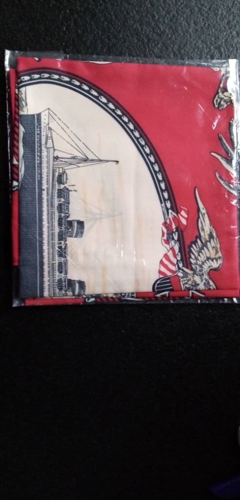 Fine silk Ocean liner Nieuw Amsterdam scarf
