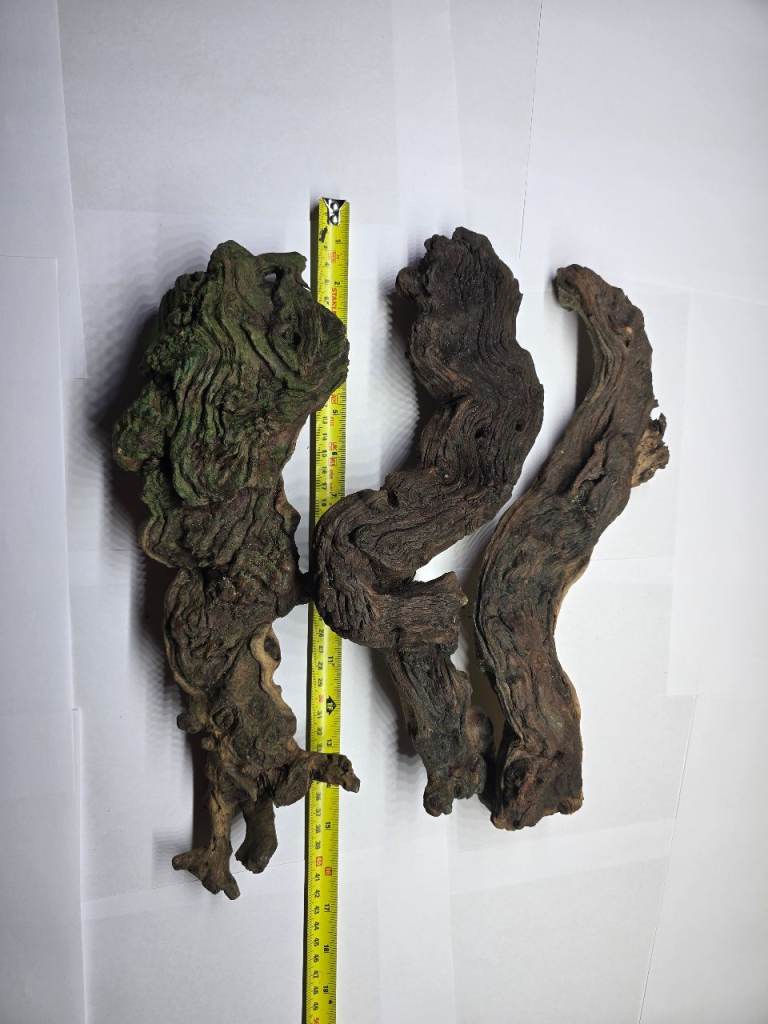 3 x fish tank roots