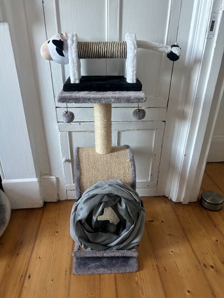 Cat Scratcher and Toy Bundle 
