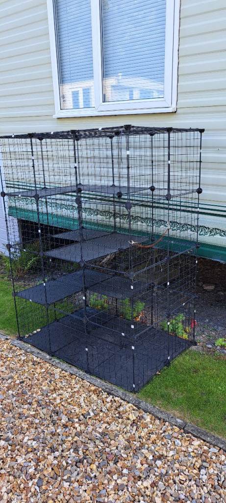 catio outdoor cat enclosure