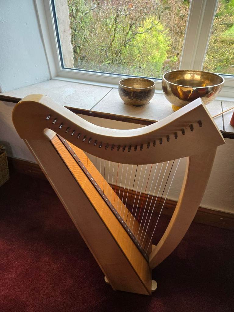 25 string harp