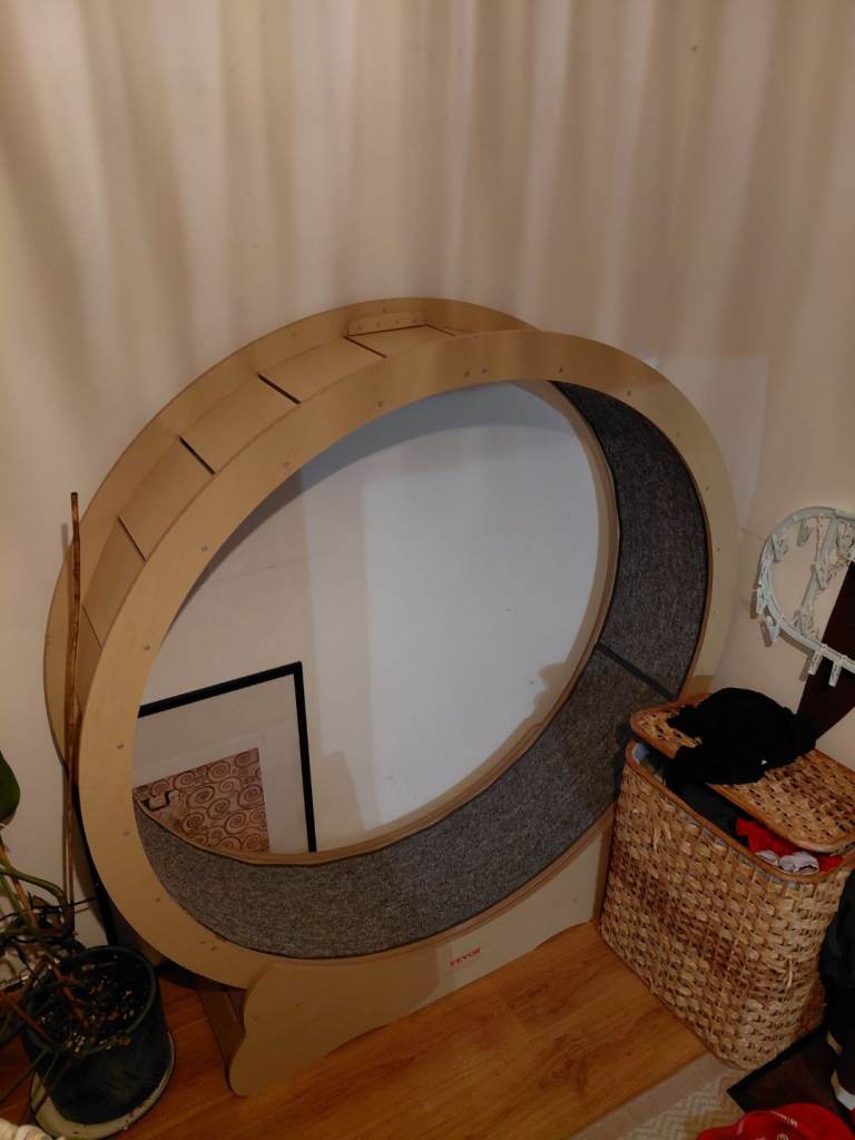 Vevor cat wheel