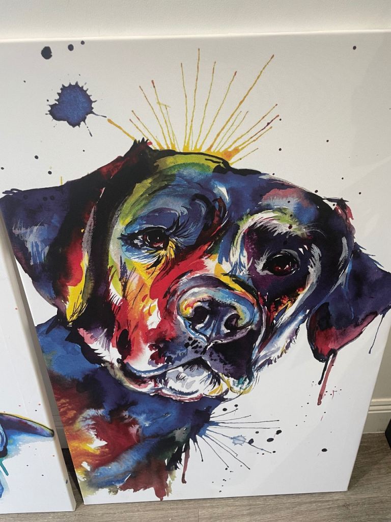 Pop Art Labrador Canvas A