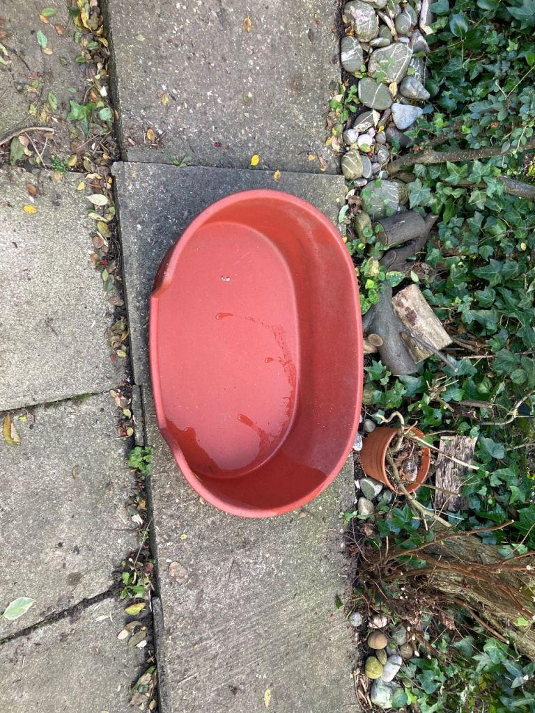 Medium size hard plastic 