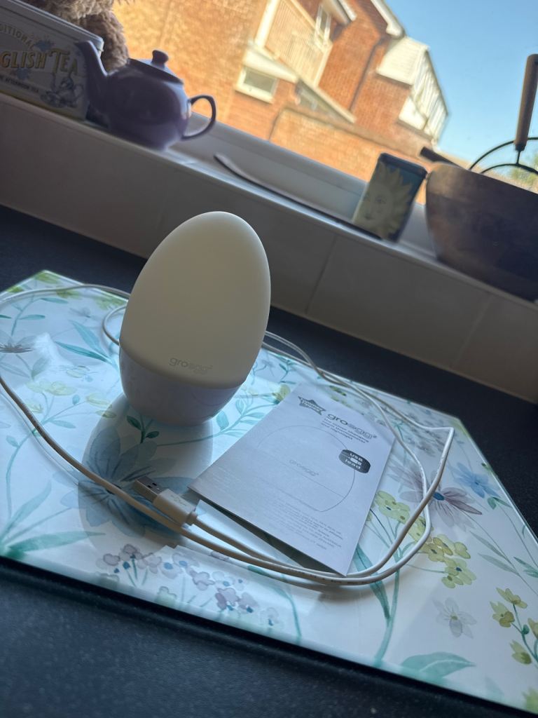 Groegg Room Thermometer & Night Light – Good Condition