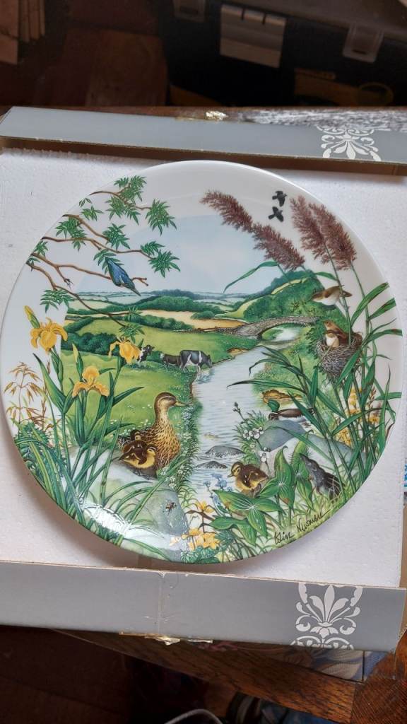 Limited Edition Wedgwood "The Meandering Stream" Plate - Stunning Collectible