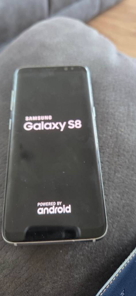 Samsung Galaxy S8 with Case – Silver, Good Condition