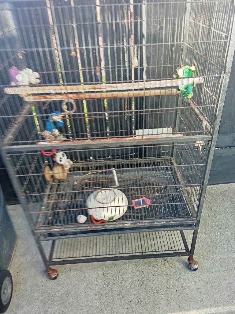 Parrot cage